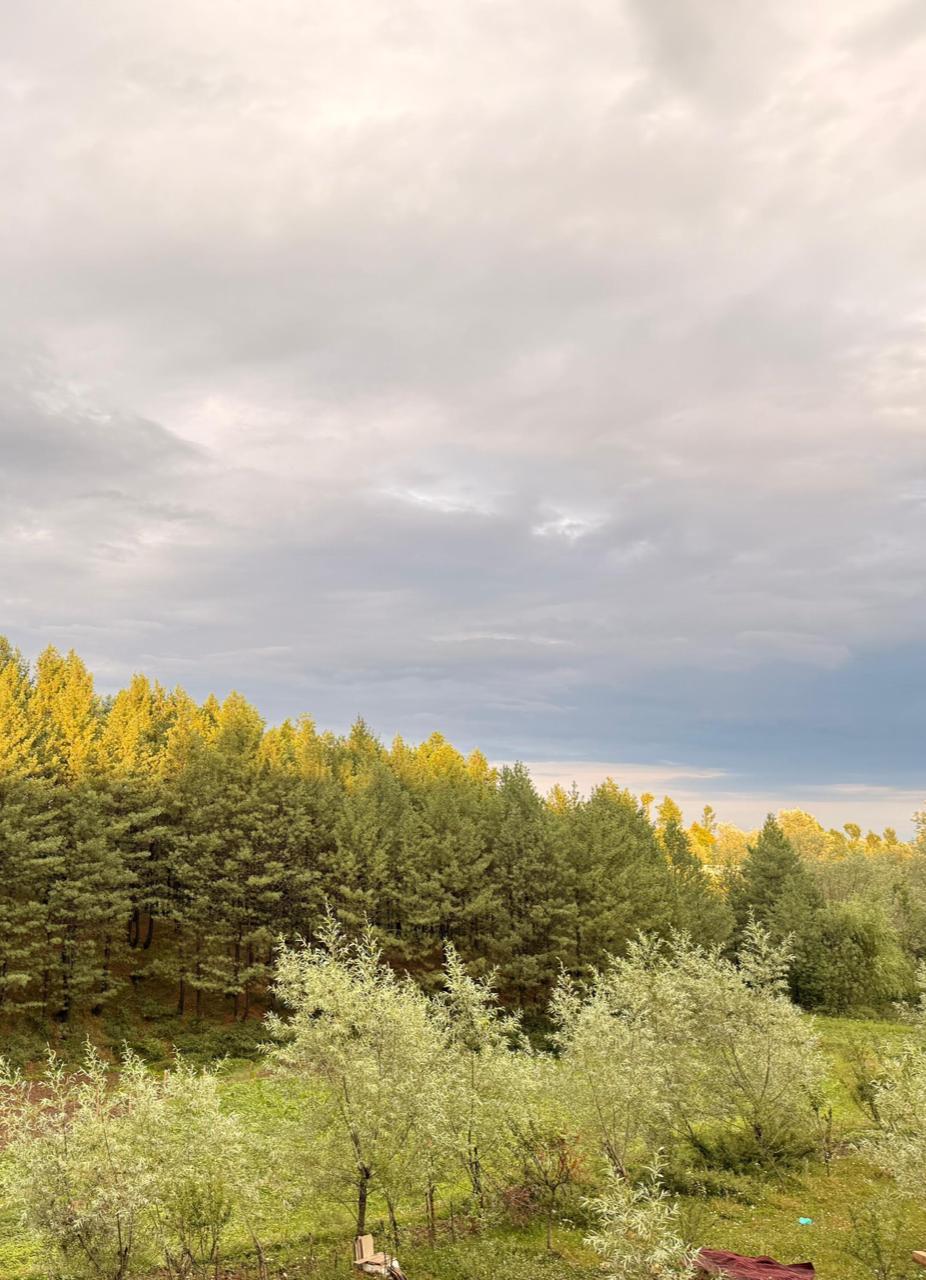 Complete property overview of Doodhpathri Meadow's luxury cottage