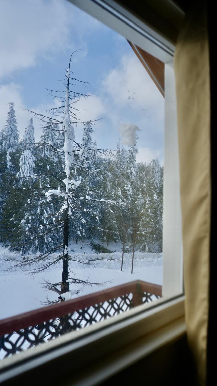 Complete property overview of Doodhpathri Meadow's luxury cottage