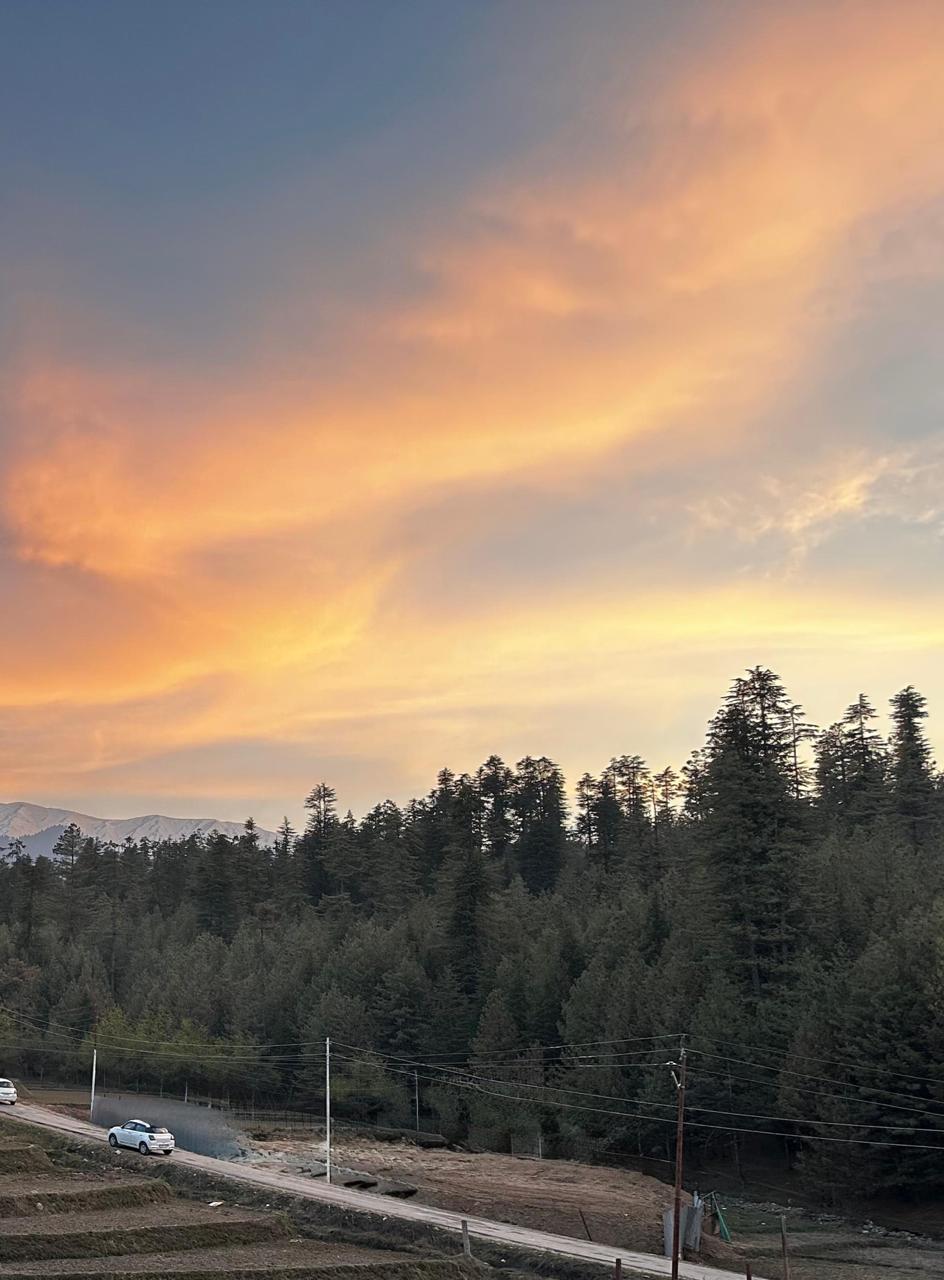 Complete property overview of Doodhpathri Meadow's luxury cottage